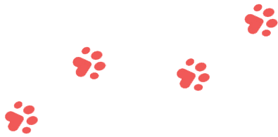 https://bazurtokennels.com/wp-content/uploads/2019/08/paws_1.png