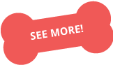 https://bazurtokennels.com/wp-content/uploads/2024/04/See-more.png