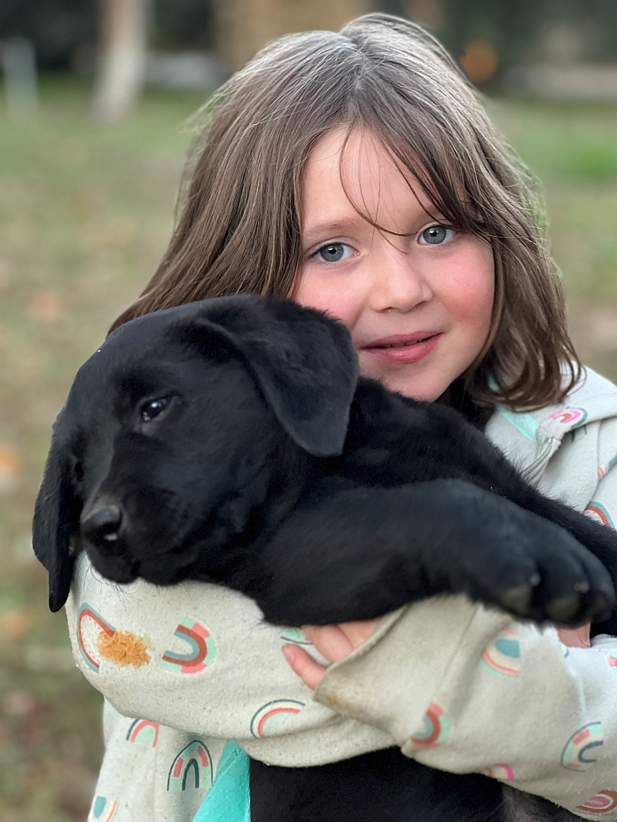 https://bazurtokennels.com/wp-content/uploads/2024/06/Green-eyed-girl-holding-dog.jpg