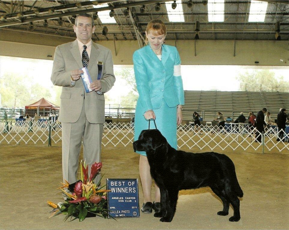 batch-belushi_win_photo_angeles_canyon_show.122190310