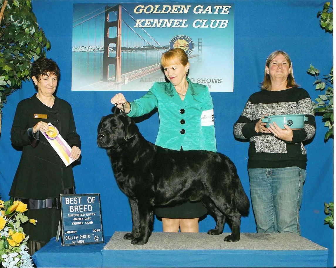 batch-belushi_win_photo_cow_palace.40171816