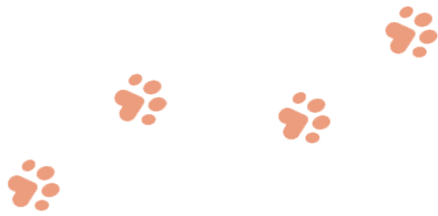 https://bazurtokennels.com/wp-content/uploads/2024/07/paws_3.png