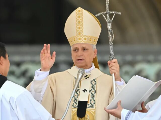 Pope Leo XIV is Leading the Pack: What a New Pope Can Teach Us About Raising Labradors #PopeLeoXIV